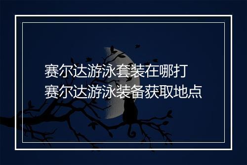 赛尔达游泳套装在哪打　赛尔达游泳装备获取地点